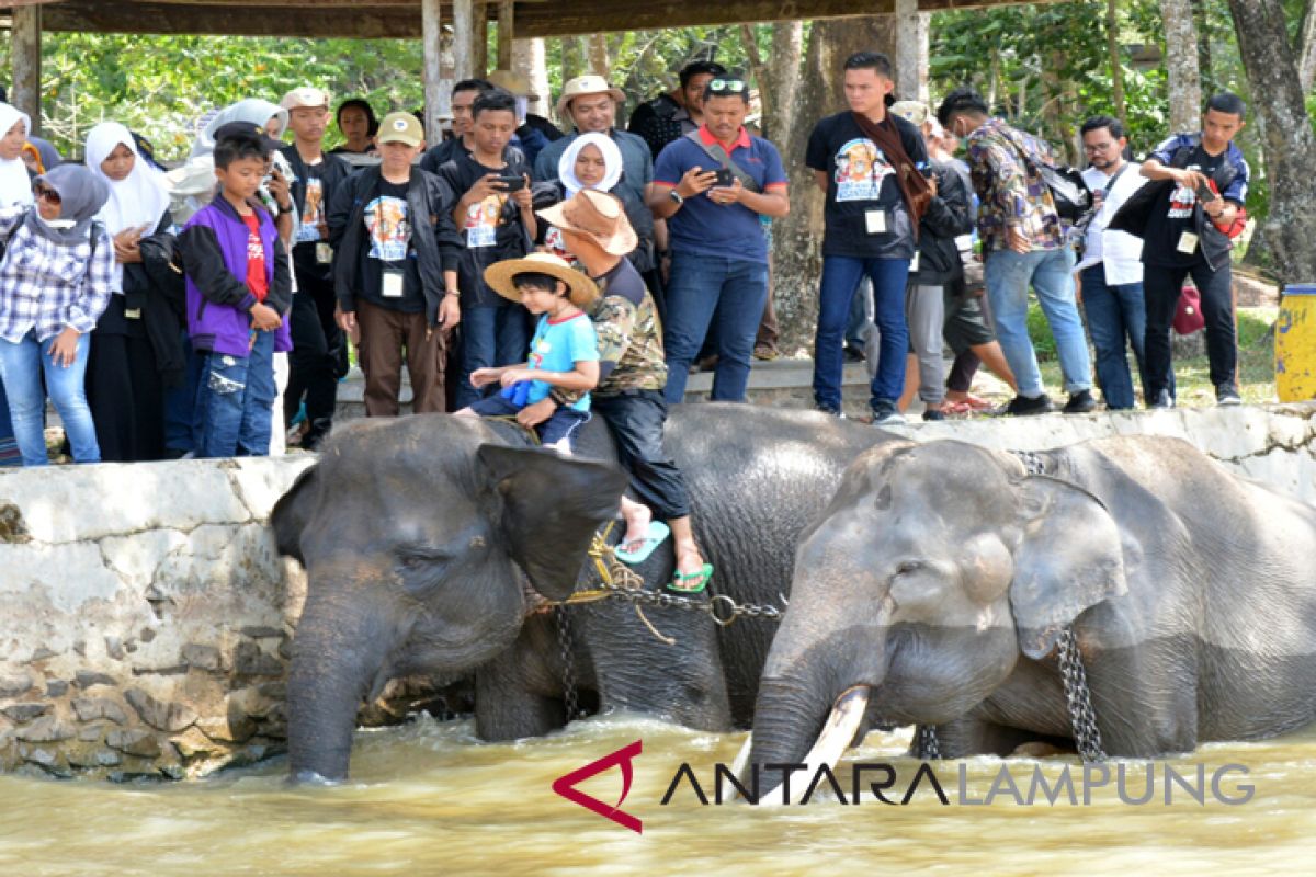 Waykambas raih penghargaan terbaik pada Hari Konservasi