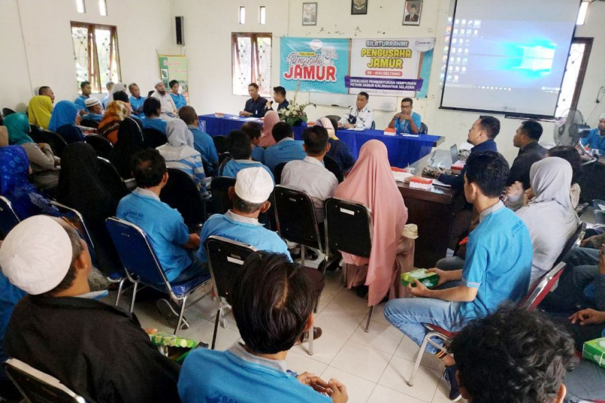 Video - Petani jamur Kalselteng bangun jaringan pemasaran