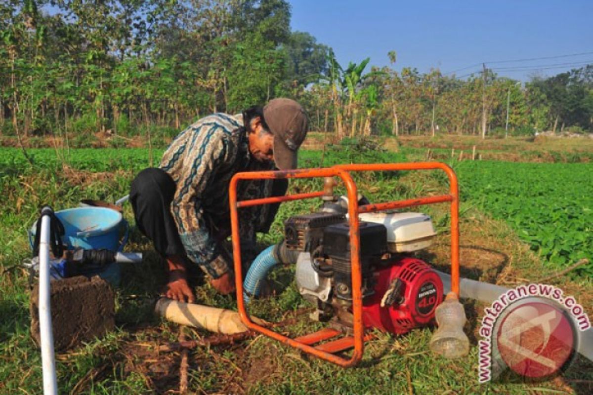 Distan Karawang: Laporkan jika sawah kekurangan air