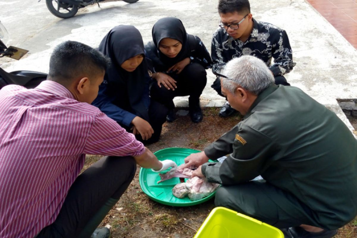 Mahasiswa STPP diajak kenali anatomi dan fisiologi reproduksi sapi