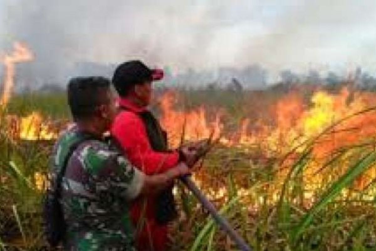 Satgas Dumai Dinginkan Tiga Titik Api Karlahut