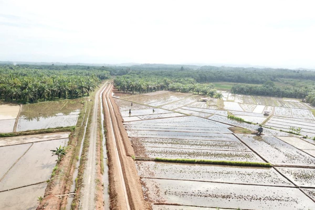 Distan optimistis program cetak sawah di Mukomuko tuntas 2018