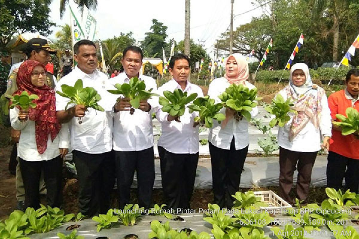 BPTP Banten dukung Rumah Pintar Petani di Pandeglang