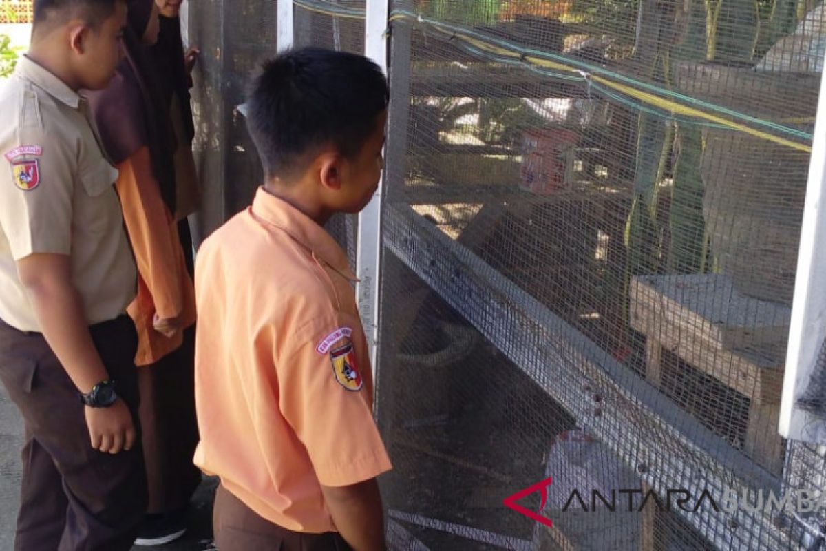 Kebun binatang mini membuat siswa SMAN-2 Padang Pariaman betah di sekolah