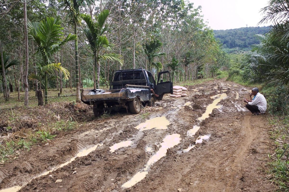 Masyarakat harapkan jalan usaha tani Karya Sejati Kajai Pasaman Barat diperbaiki