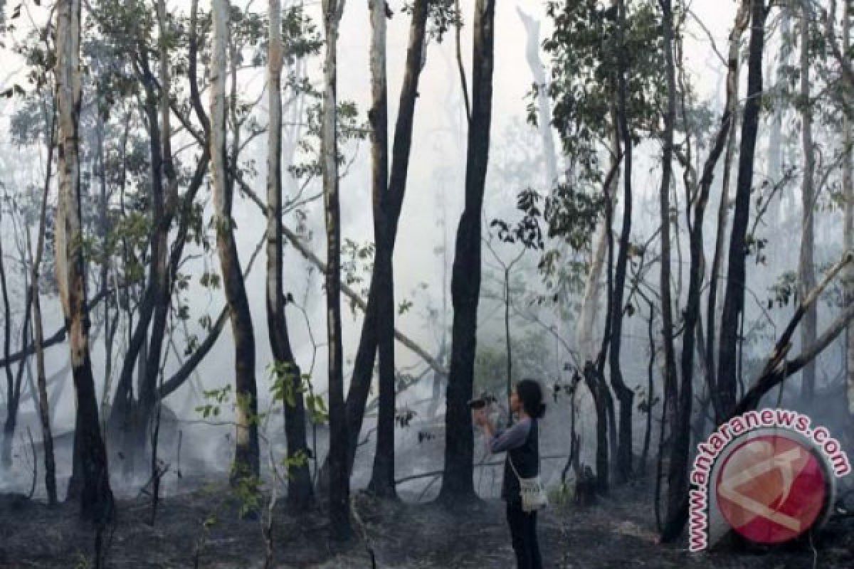 Suku asli Papua jaga Taman Nasional Wasur