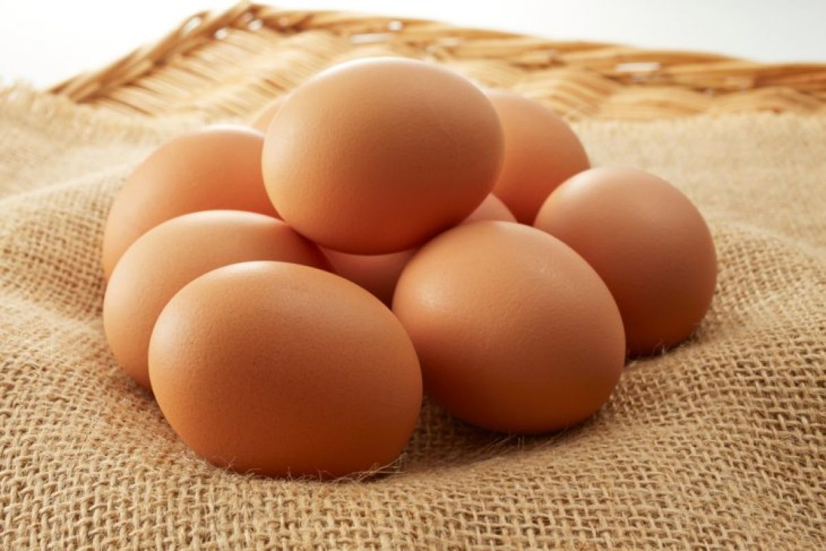 Diet telur rendah karbohidrat tetapi tinggi protein