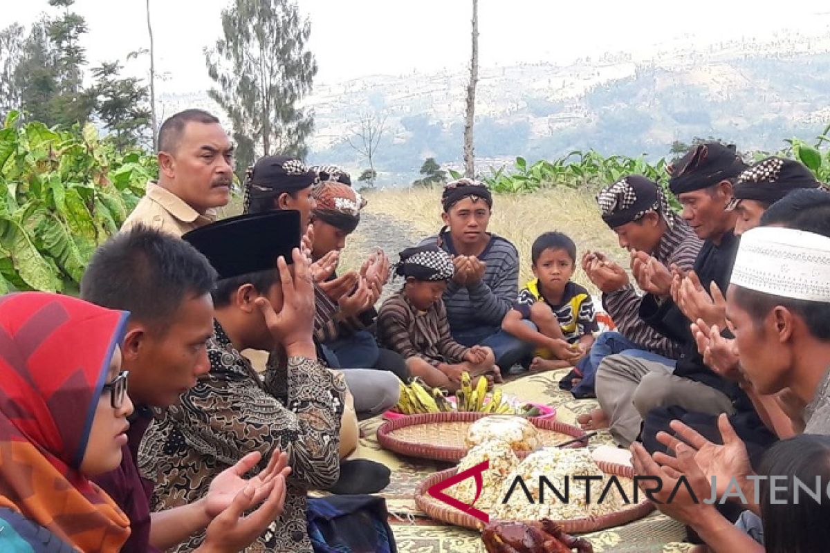 Petani Gunung Sindoro mulai panen tembakau, gelar tradisi "Wiwitan"
