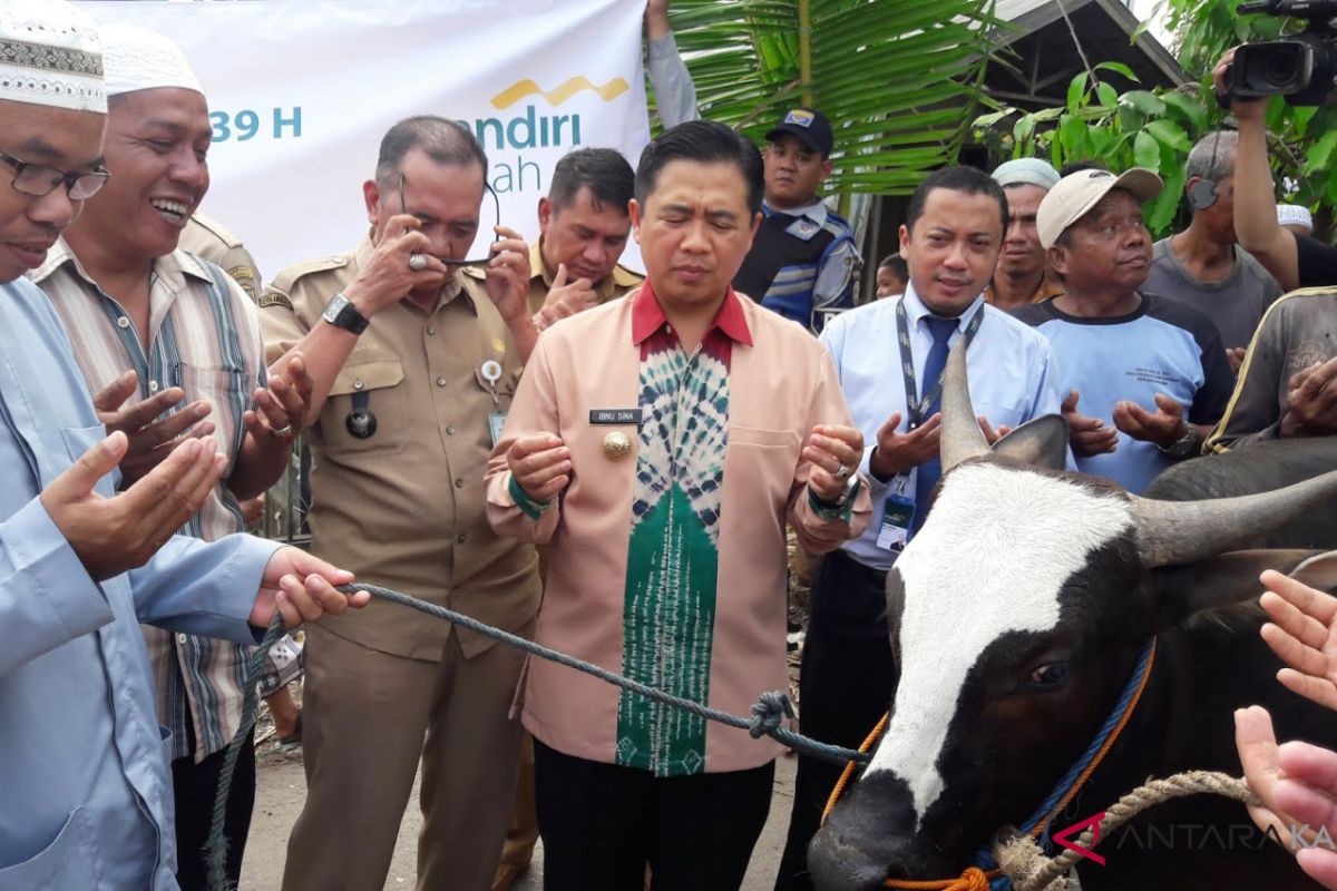 Ibnu Sina serahkan tujuh ekor hewan qurban