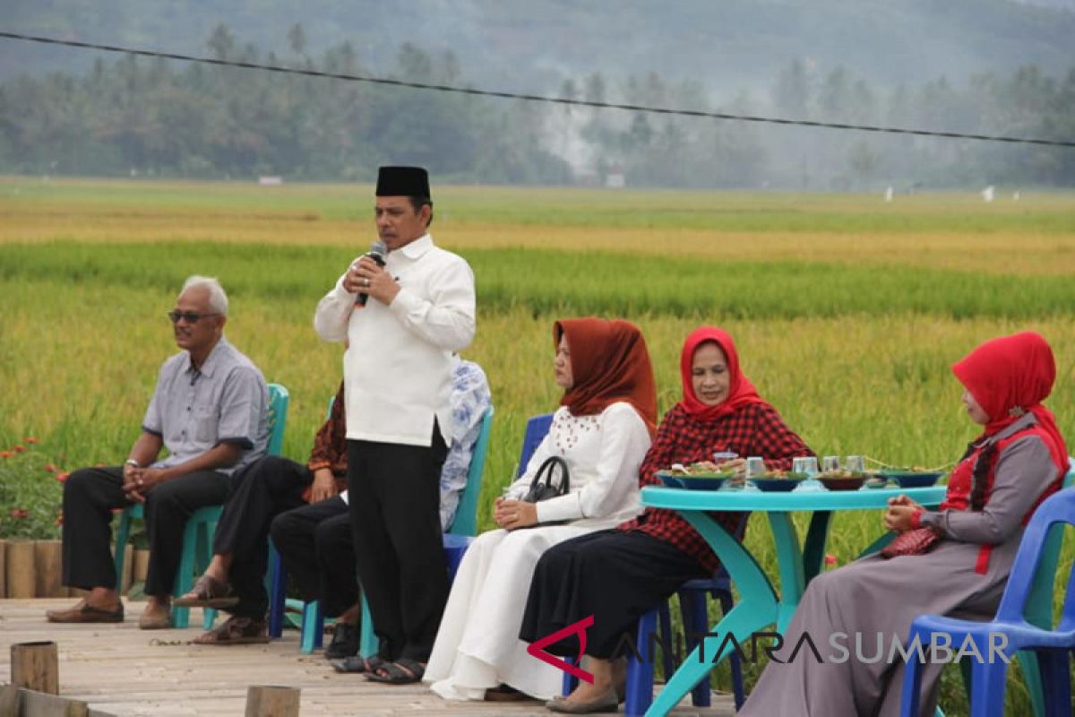 Reinier harapkan perantau bantu pembangunan daerah