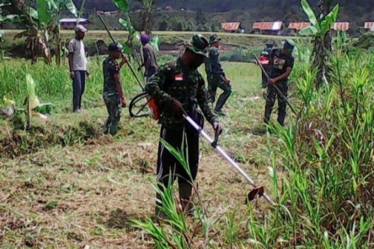 TNI buka 300 hektare lahan sawah baru di Musi Banyuasin