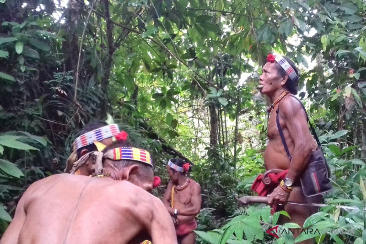 Dukun tradisional Mentawai sebut tidak ada kehidupan tanpa hutan