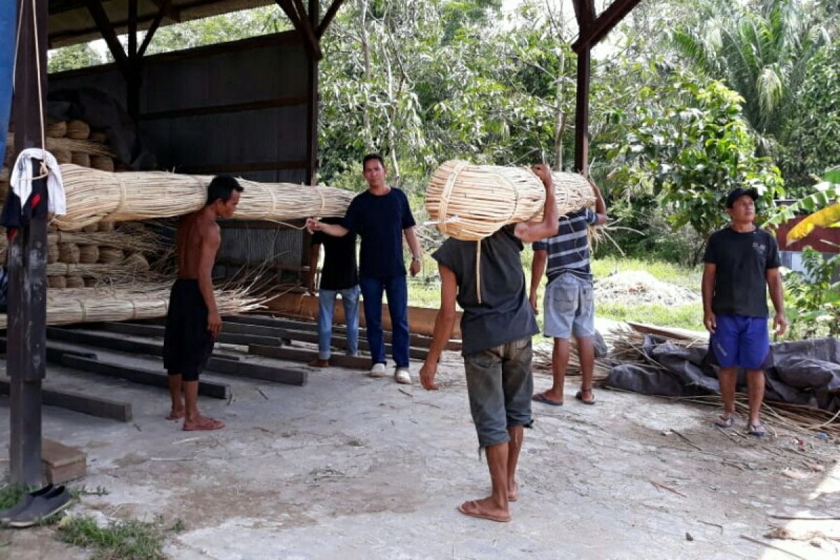 Pengusaha dan petani rotan kecewa pemerintah tidak peduli