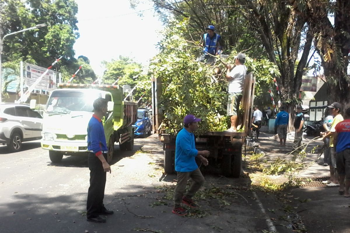 Polda Sulut bersihkan pohon membahayakan pengguna jalan