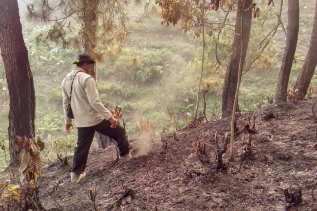 BPBD Sukabumi pastikan kebakaran Gunung Suta padam