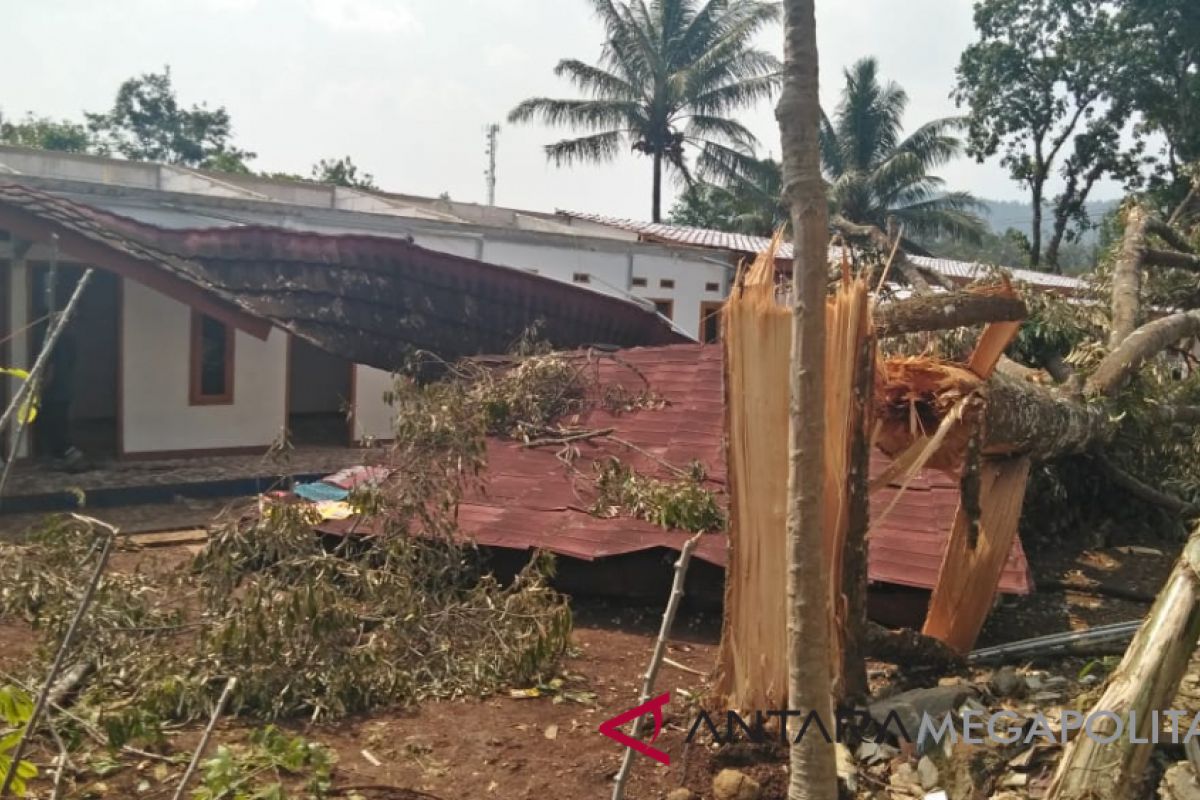 Lima kamar kos porak poranda tertimpa pohon