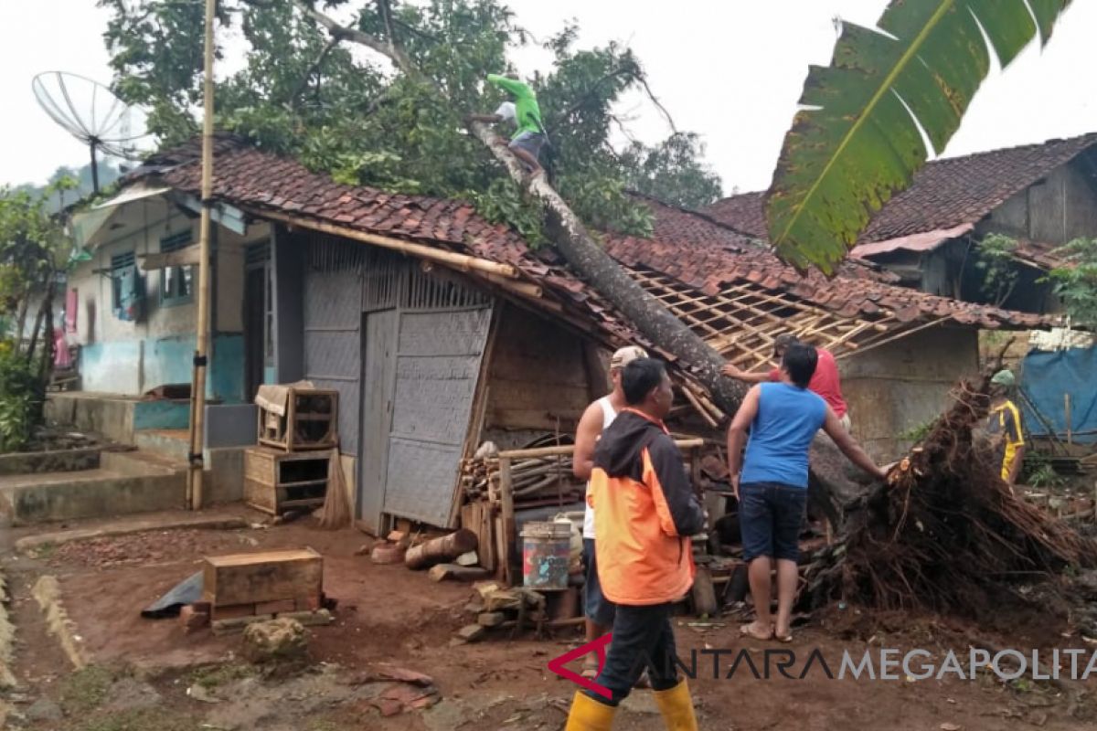 Rumah janda tua di Sukabumi tertimpa pohon