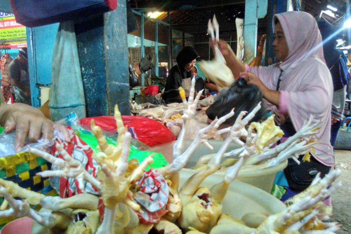 Harga Daging Ayam di Bojonegoro Turun