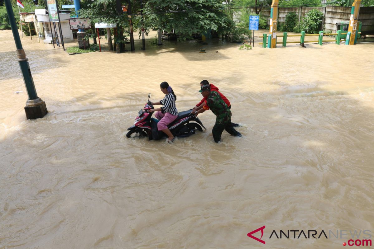 Floods inundate rice fields in Langkat, N Sumatra