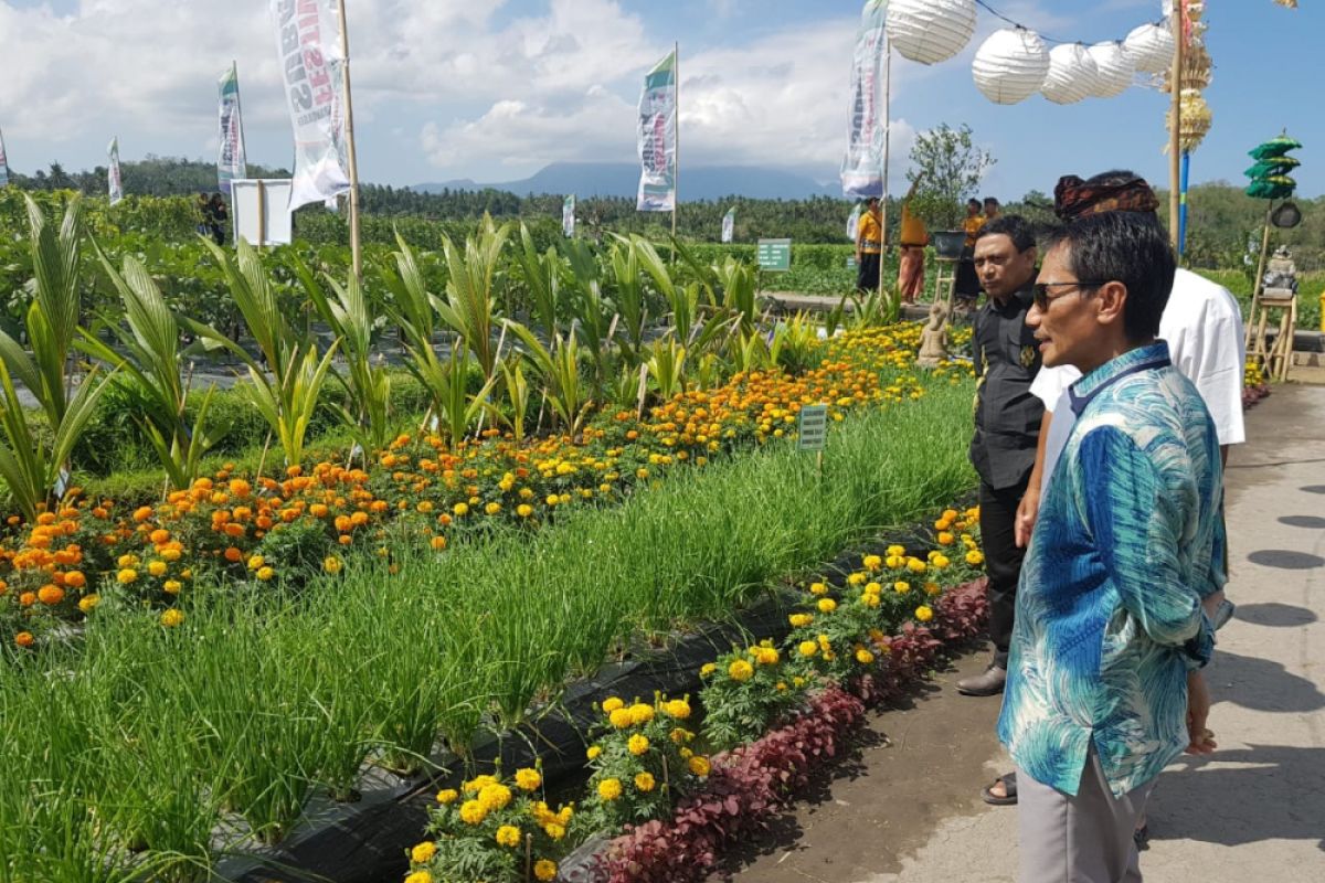 Bupati Gorontalo Dorong Pelaksanaan Festival Kelapa Internasional