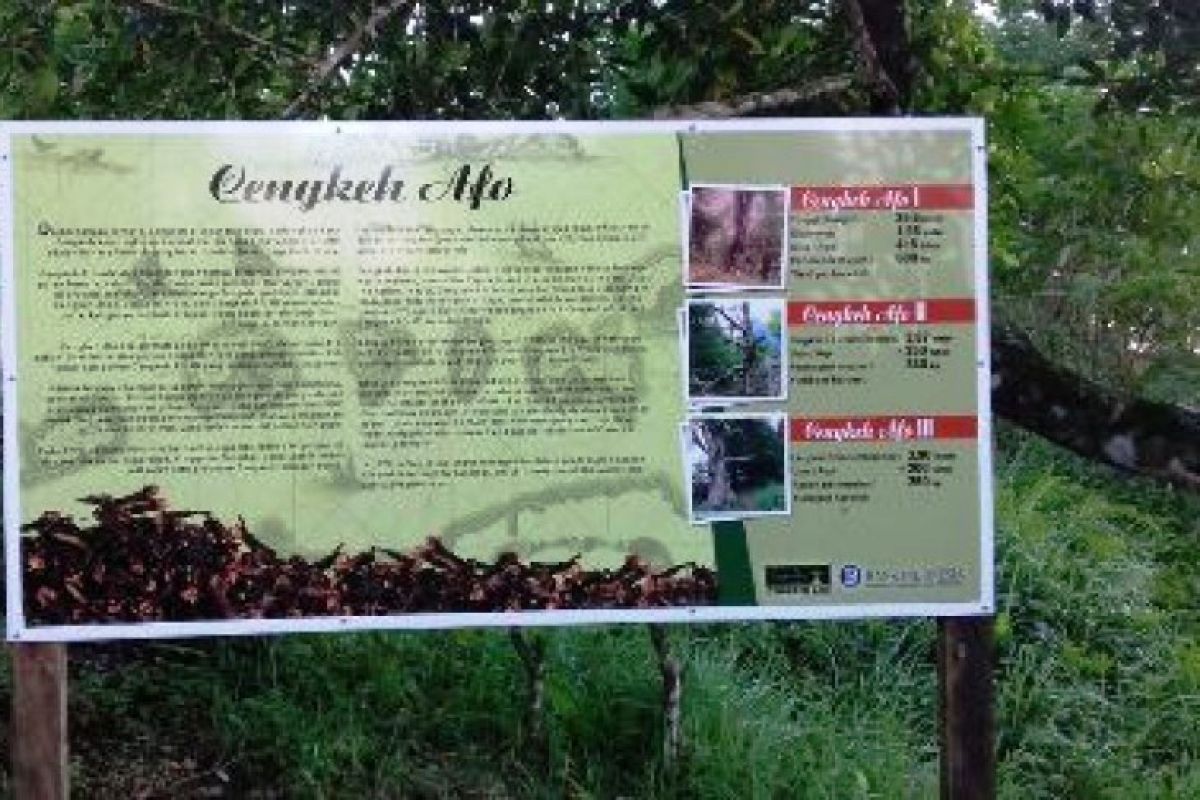 Objek wisata Cengkih Afo semakin diminati wisatawan