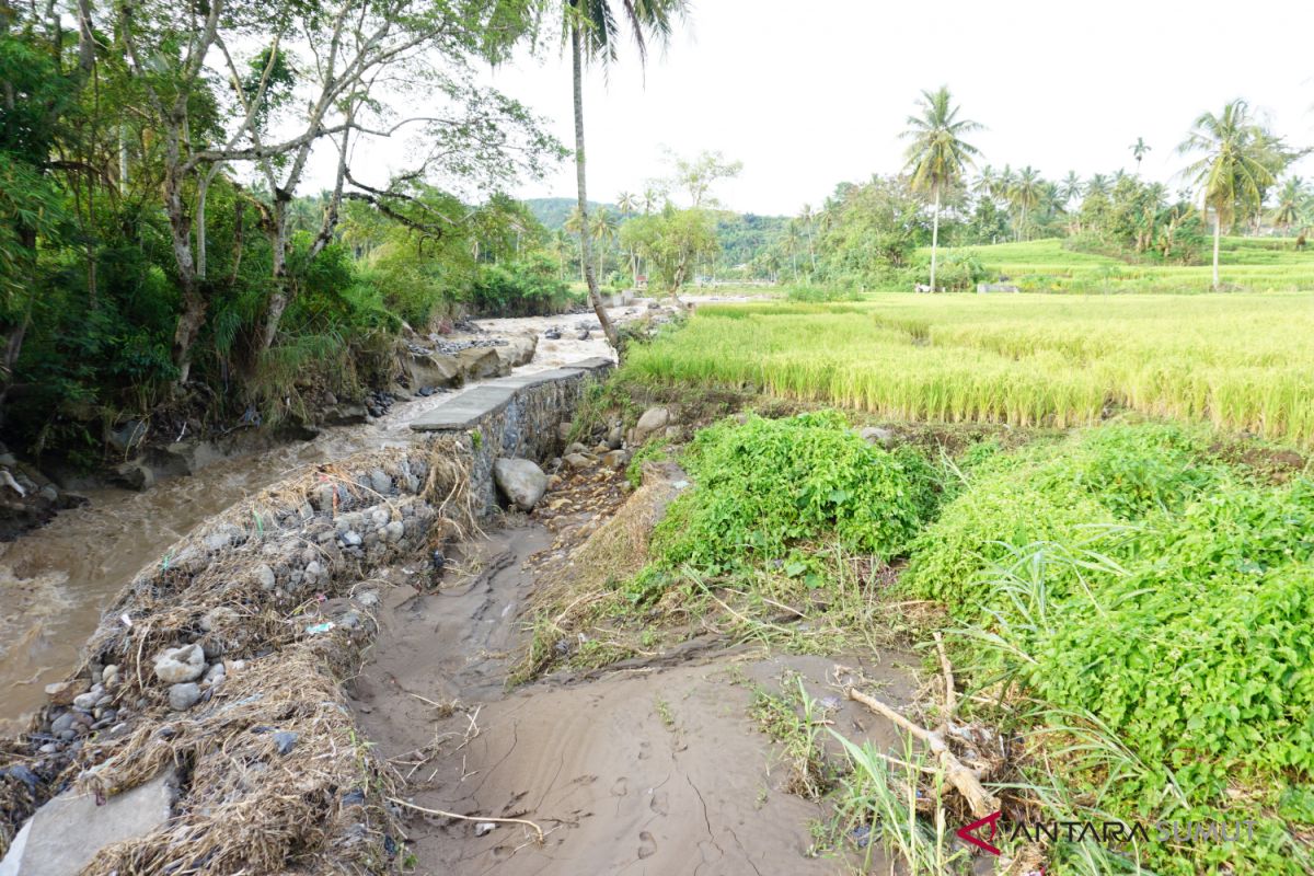 Sawah warga terancam akibat tanggul penahan banjir jebol