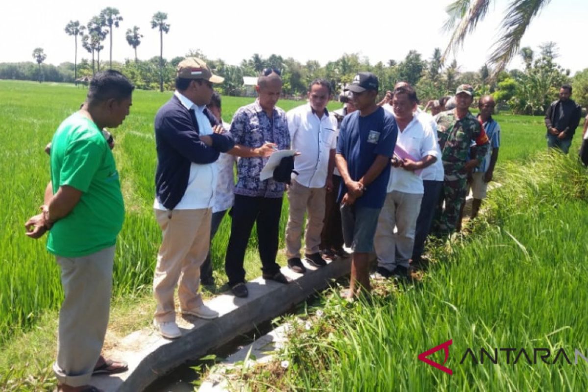 Komisi V DPR tinjau lokasi pembangunan jembatan gantung