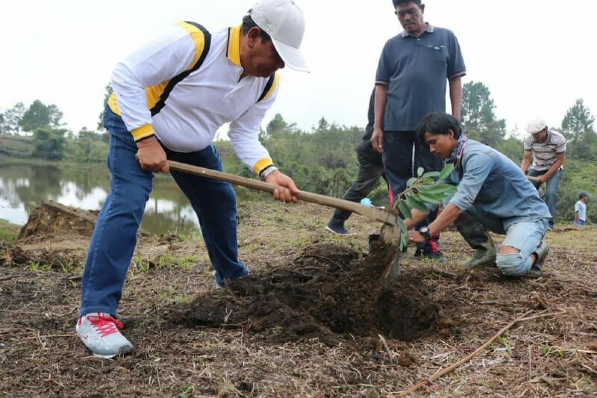 Masyarakat Samosir diimbau budayakan tanam pohon