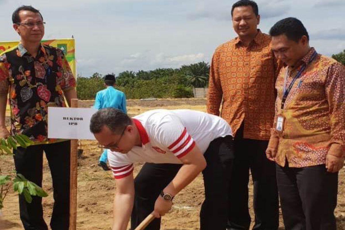 IPB kembangkan smart farming bibit buah tropis di Science-Techno Park Riau