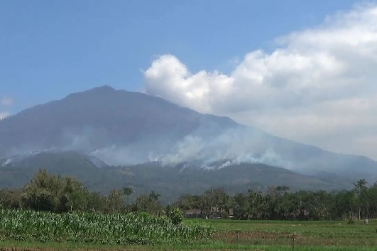 Kebakaran Lawu Dekati Kawasan Wisata Kebun Teh Jamus Ngawi