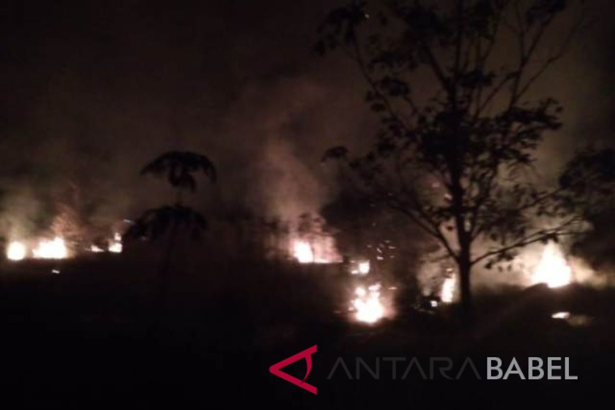 Dua hektare hutan di Desa Sadai Bangka Selatan terbakar