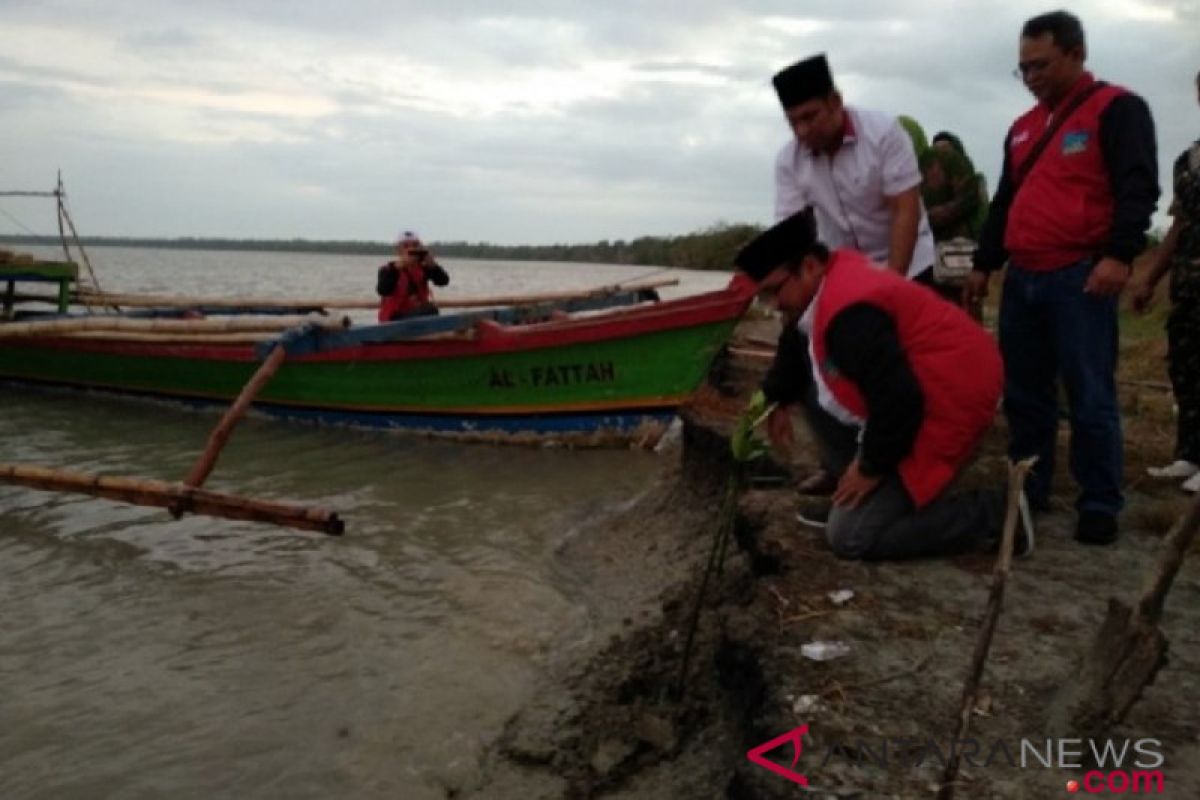 Ansor awali Kirab Satu Negeri dengan tanam bakau