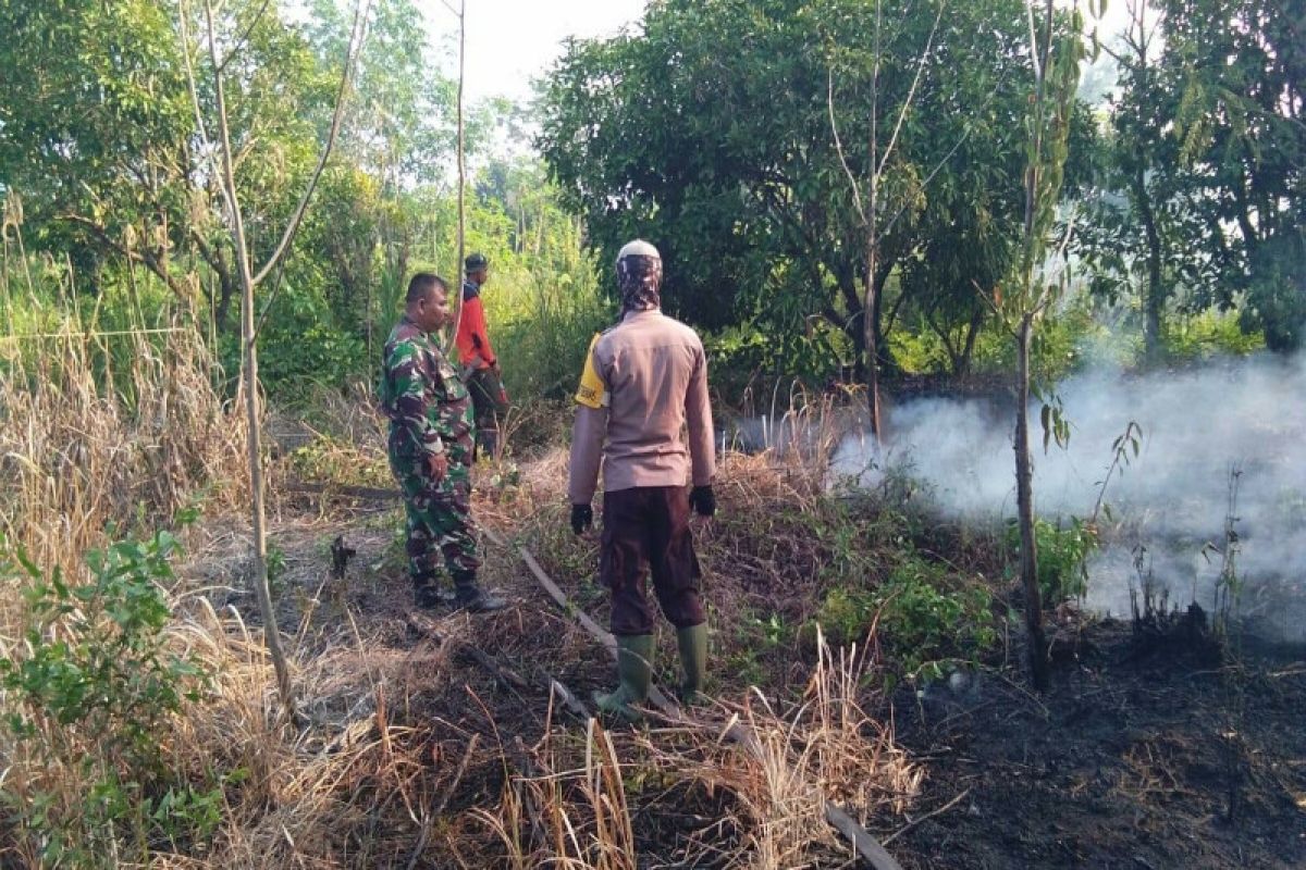 Kebakaran lahan di Pulang Pisau dipicu kesengajaan