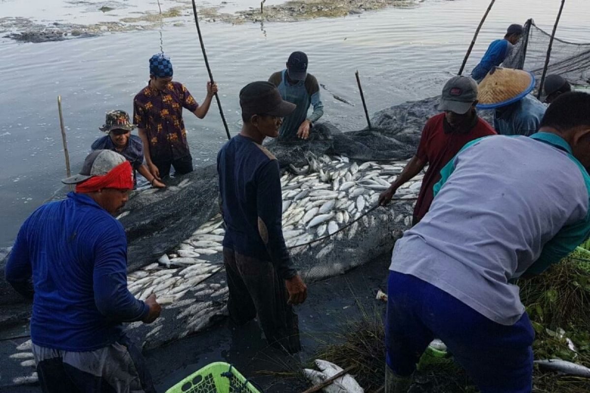 Menteri BUMN dorong perbankan optimalkan pembiayaan sektor perikanan