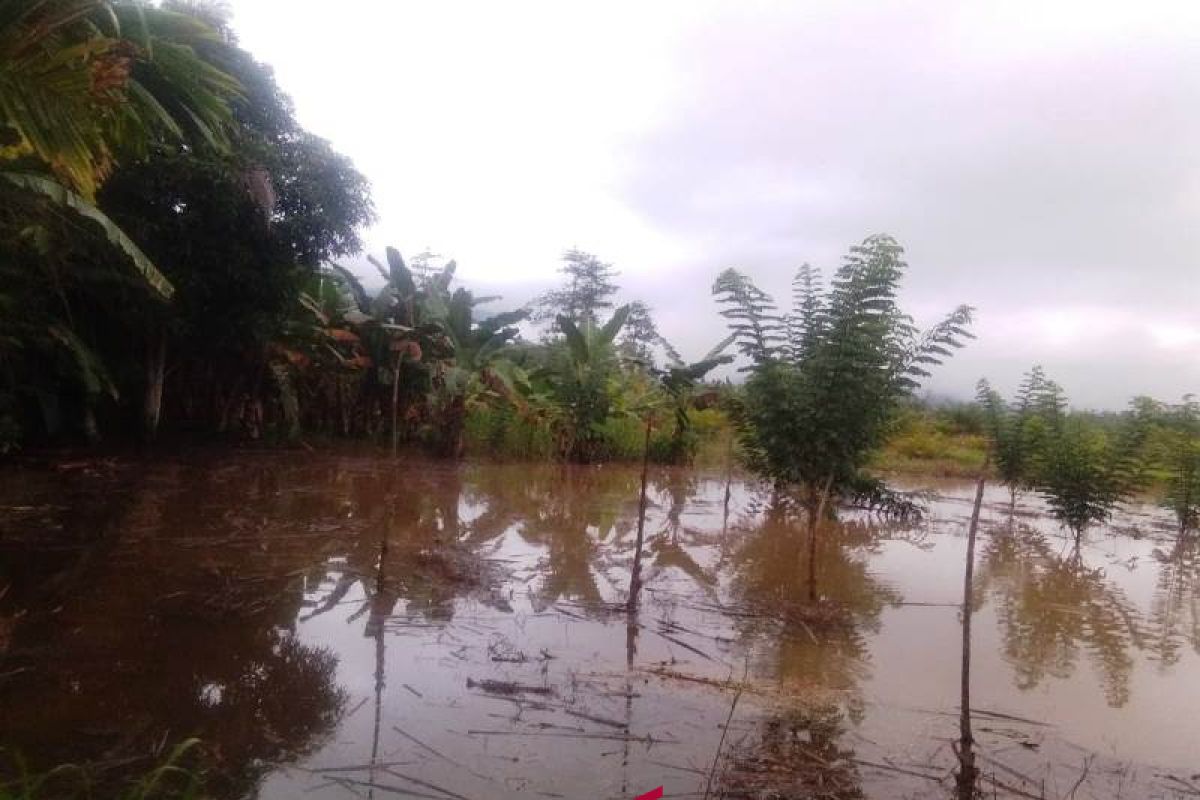 Banjir Sayur Matinggi sisakan kerugian bagi petani