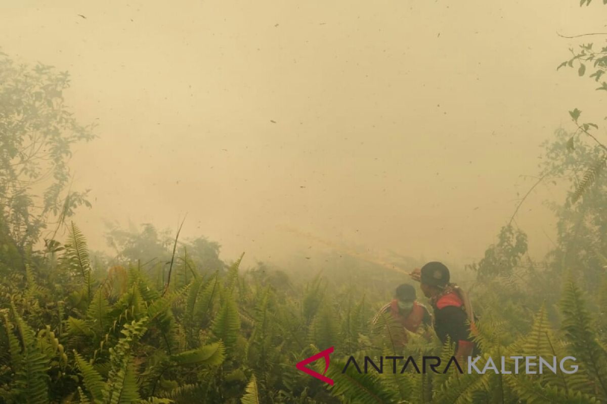 Diduga sengaja dibakar untuk perumahan, Polres Kotim selidiki kebakaran lahan