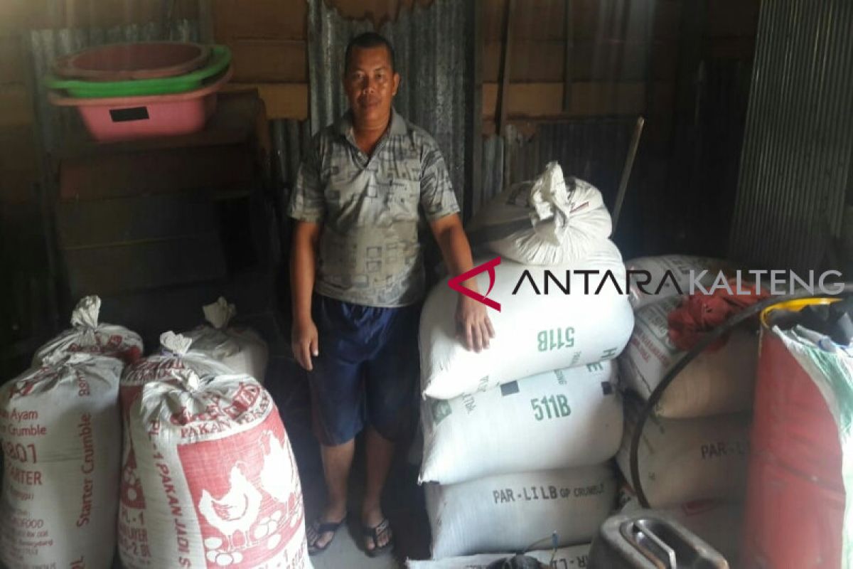 Ini tanggapan petani Seruyan terkait polemik impor beras