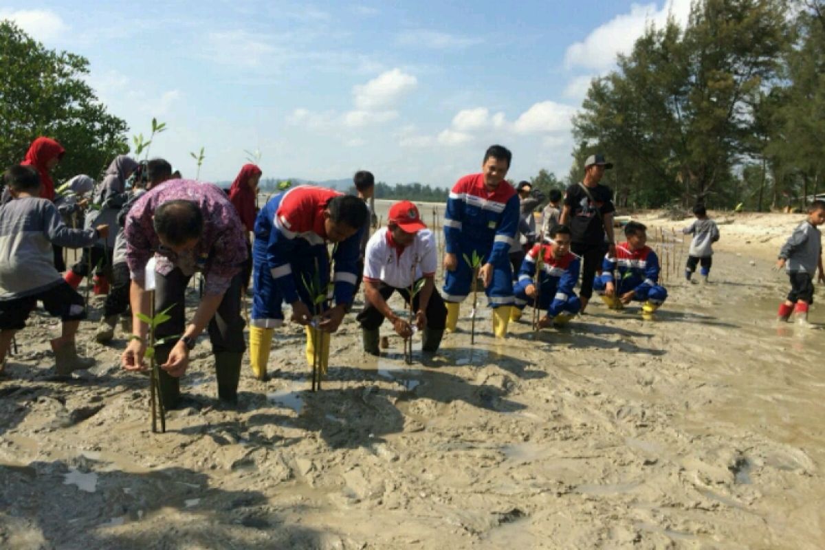 Taman Edukasi Mangrove Pertamina untuk Pesisir Pangkal Pinang