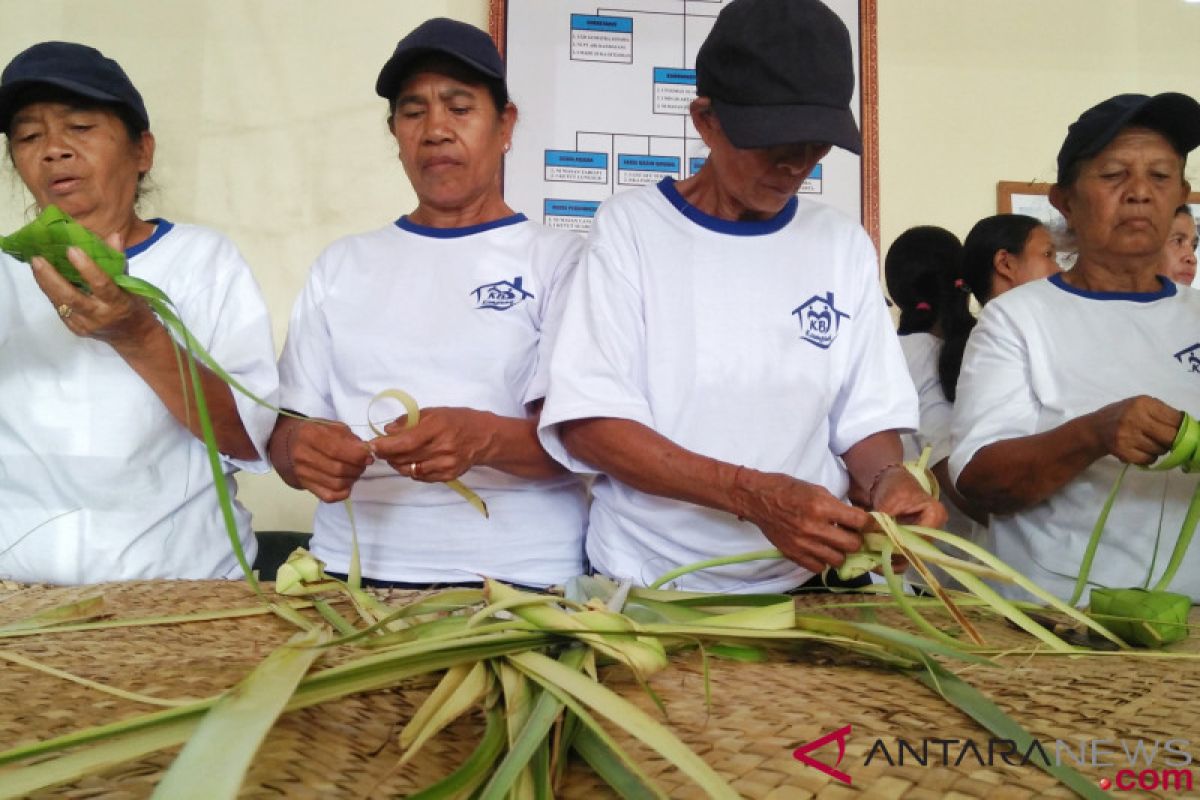 BKKBN sebut Kampung KB butuh dukungan Pemda