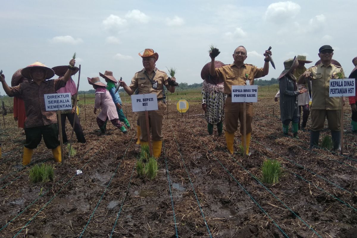 Distan HST optimalkan lahan rawa