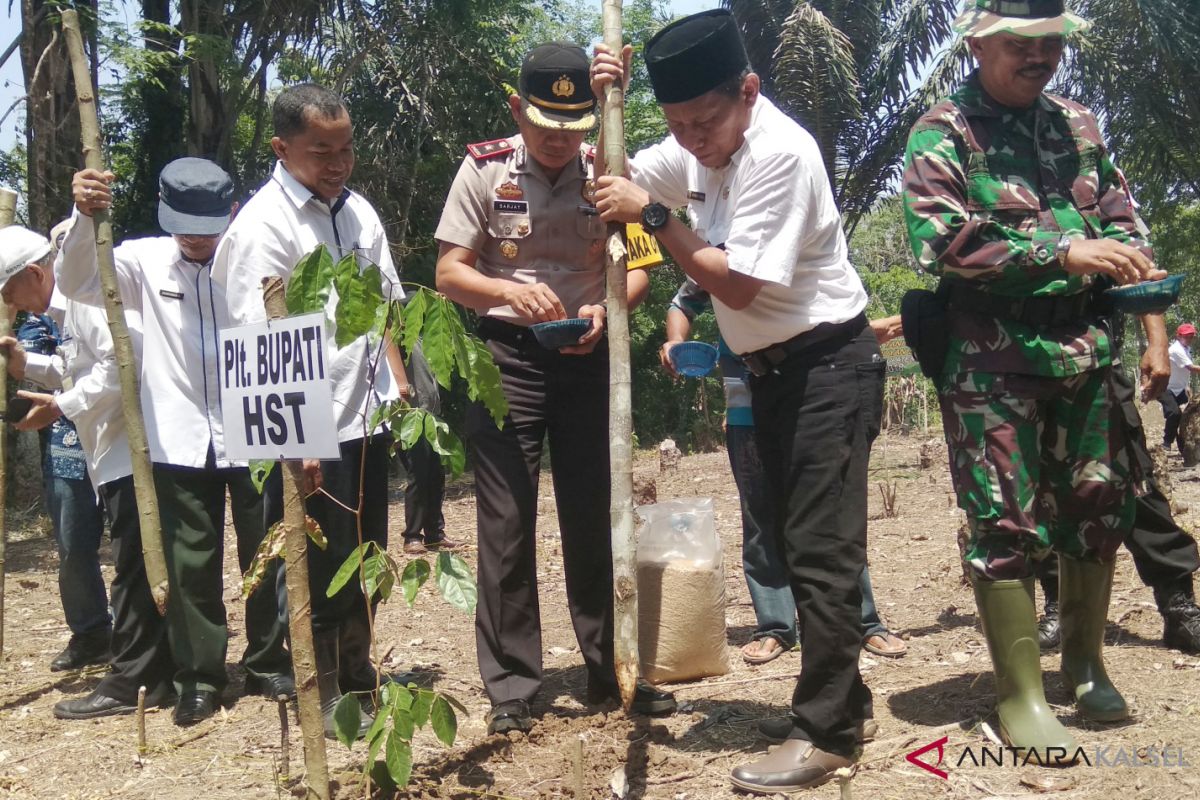 Kecamatan Haruyan bisa panen dan tanam padi di musim yang sama