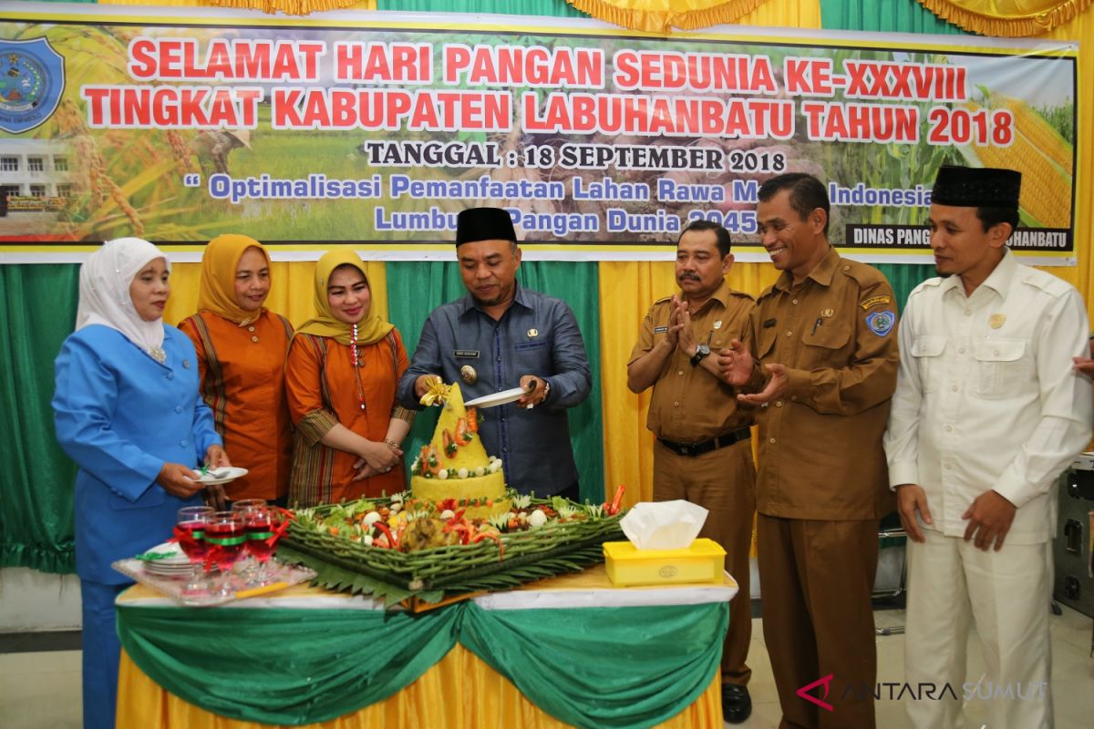 Labuhanbatu dorong peningkatan produksi pangan lokal