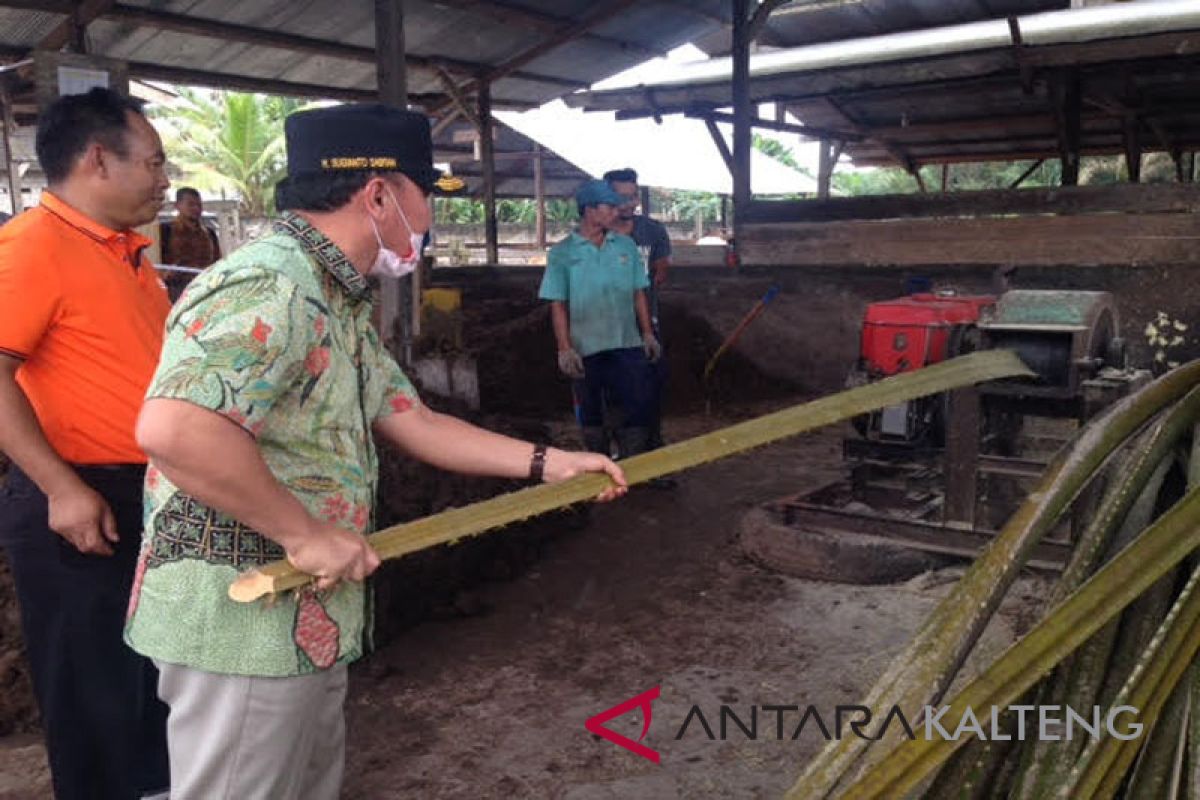 Gubernur apresiasi keberhasilan KUD Tani Subur integrasikan sawit-sapi