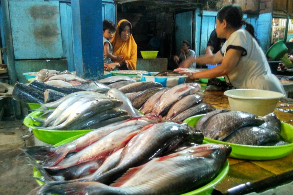 Harga Ikan Air Tawar di Bojonegoro Stabil Tinggi