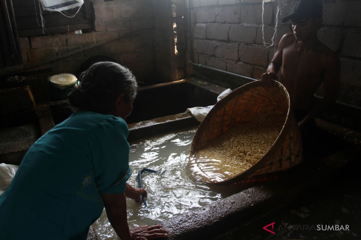 Produsen tempe di Padang keluhkan naiknya harga kacang kedelai