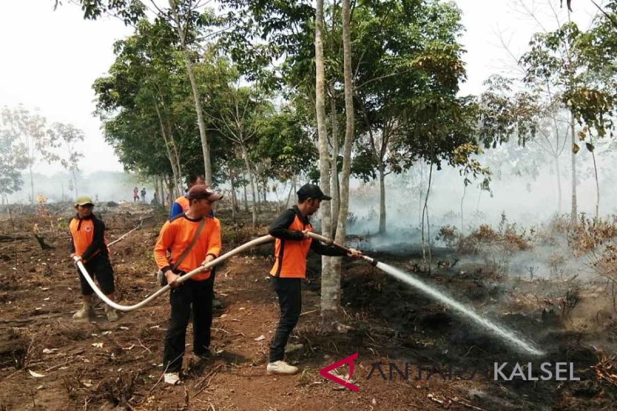 Seluas 30 hektare lahan perkebunan di Balangan terbakar