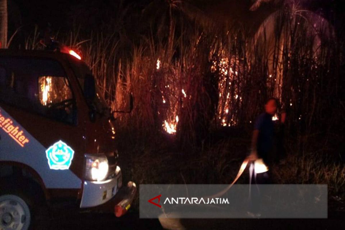 Petugas Berhasil Padamkan Kebakaran Lahan di Pamekasan