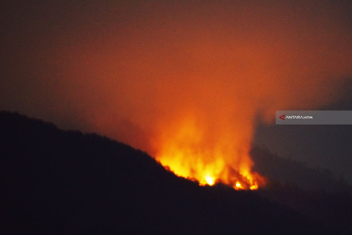 Seratus Pendaki Lawu Terjebak Akibat Kebakaran Hutan