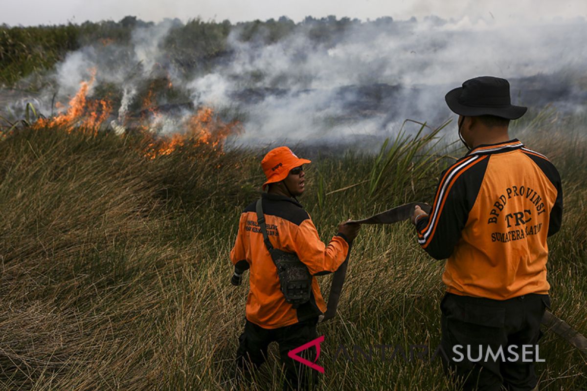 Beberapa kabupaten di Sumsel rawan kebakaran hutan