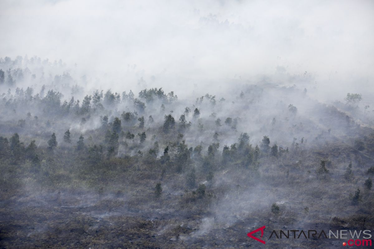 364,8 hektare lahan terbakar di Banjar